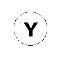 Y Button